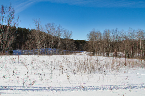 Uxbridge Trail (beside Rona) Feb 4/2021