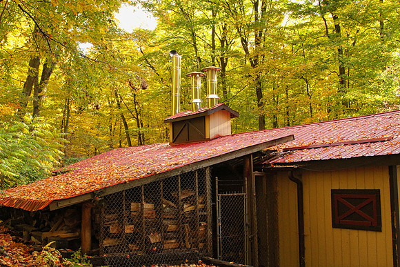 Purple Woods Conservation Area Oct 13/2020