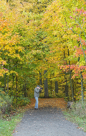 Purple Woods Conservation Area Oct 13/2020