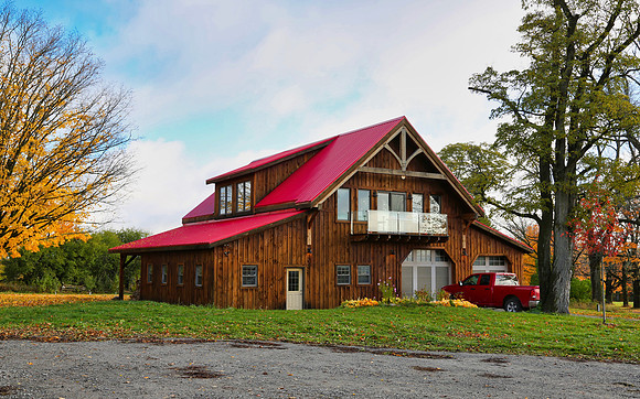 Pefferlaw Creek Farms Oct 20/2020