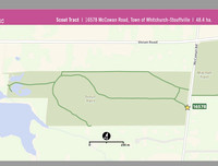 Scout Tract