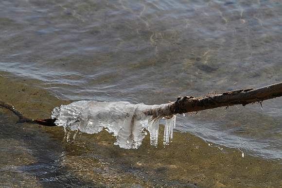 Lynde Shores Mar 5/2021
