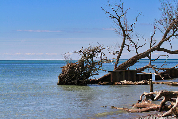 Lynde Shores Apr 19/2022
