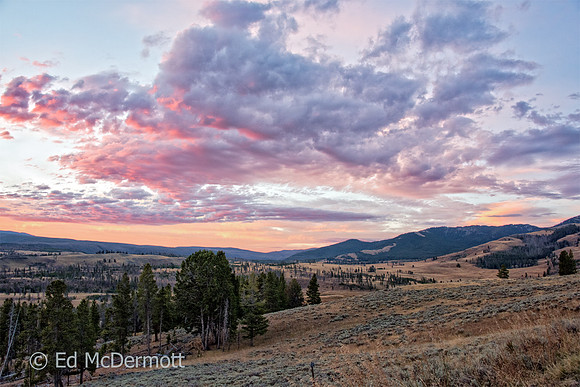 Dawn in Yellowstone Park