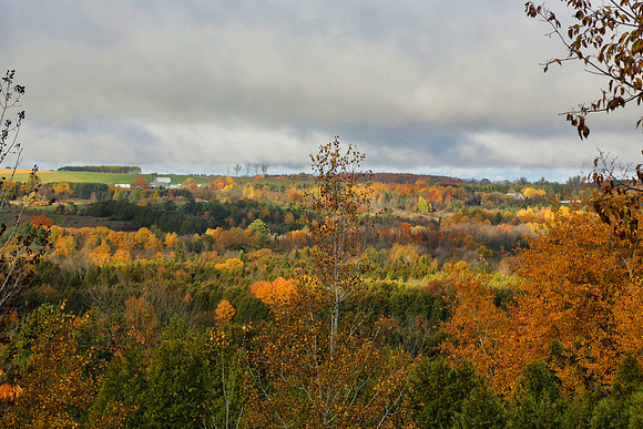 Pefferlaw Creek Farms Oct 20/2020