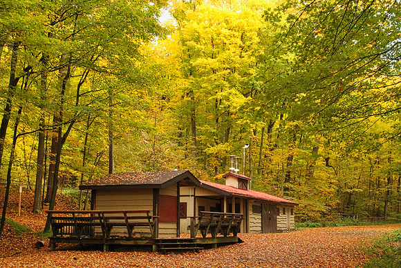 Purple Woods Conservation Area Oct 13/2020