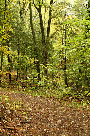 Hollidge Tract Oct 5/21