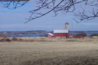 Farm scene on Island Road