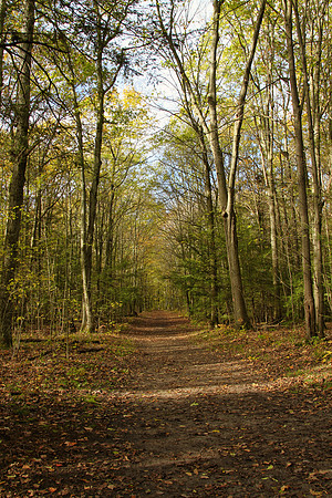 Scout Tract Nov 2/2021