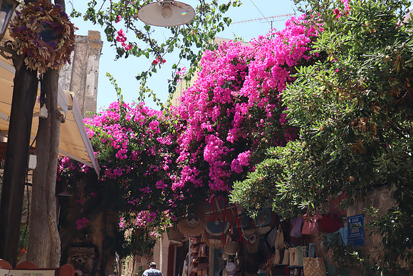 Chania (Crete), Greece Sept 8/22
