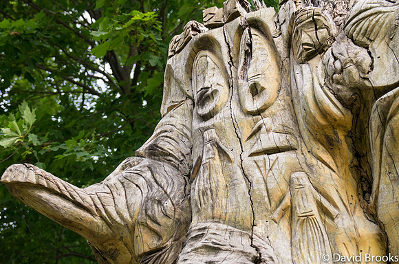 Wispering old tree