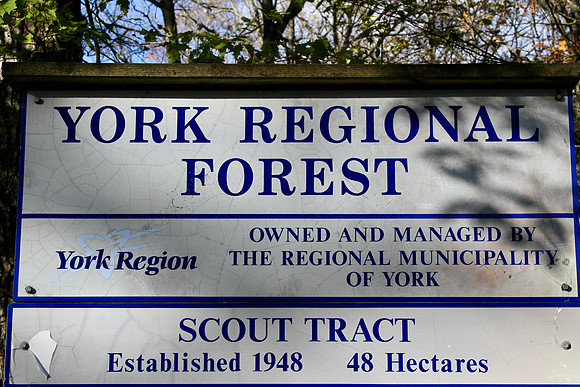 Scout Tract Nov 2/2021
