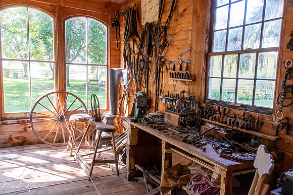 9. Harness Shop
