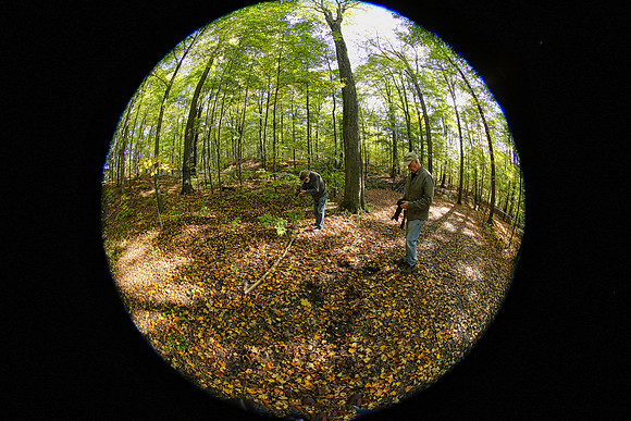 Purple Woods Conservation Area Oct 12/2021