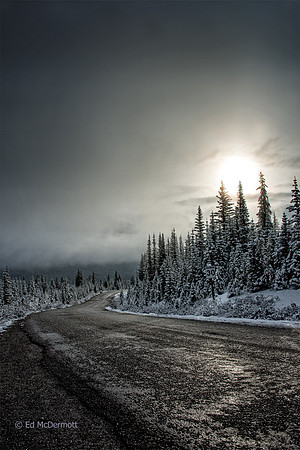 "Road to the Rising Sun", Near Peyto Lake,AB