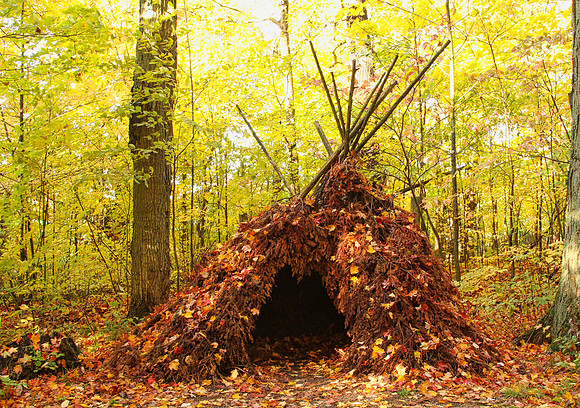 Purple Woods Conservation Area Oct 13/2020
