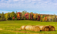 Hay In