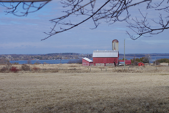 Farm scene on Island Road