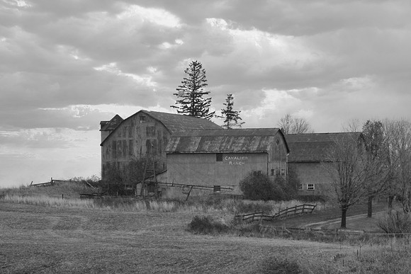 Barns on Hwy 7 east