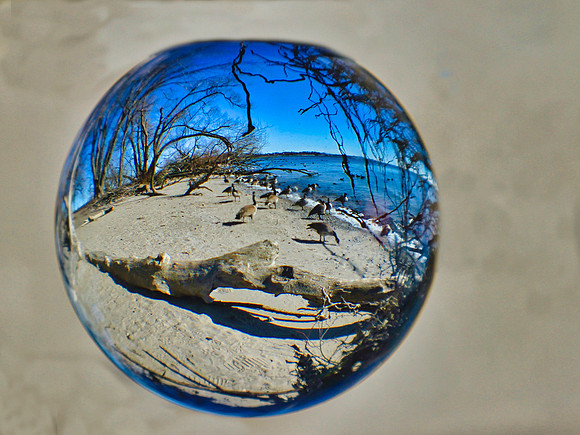 Lynde Shores Mar 5/2021