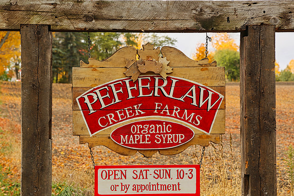 Pefferlaw Creek Farms Oct 20/2020