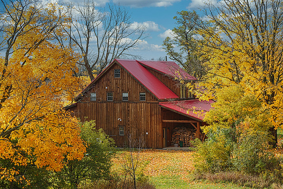 Pefferlaw Creek Farms Oct 20/2020