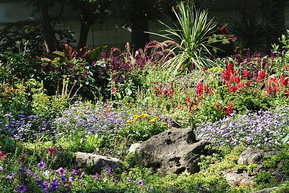 Oshawa Botanical Gardens Aug 2/2021