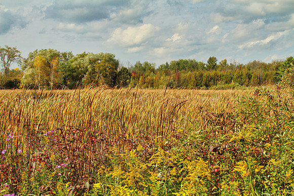 Stouffville Reservoir Sept 28/2020