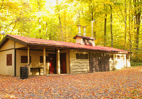 Purple Woods Conservation Area Oct 13/2020