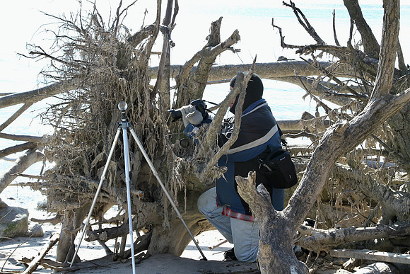 Lynde Shores Mar 5/2021
