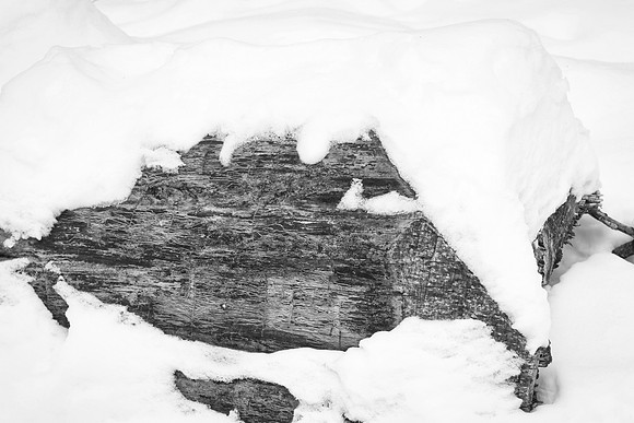Hollidge Tract (entrance Ninth Line) Feb 10/21