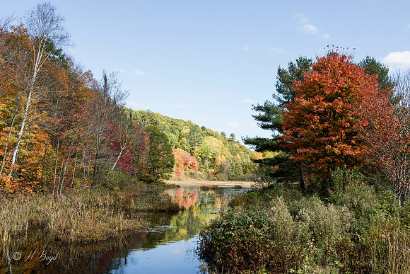 Hwy #35 Dorset