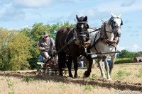 York plow 1-Sep-19