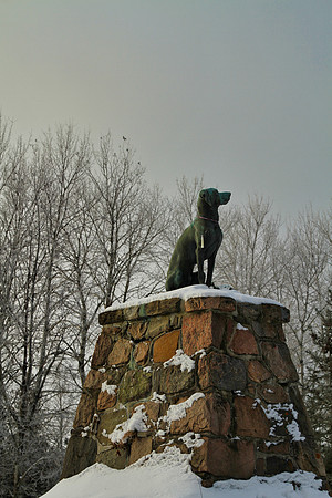 Secord Forest & Wildlife Jan 8/21