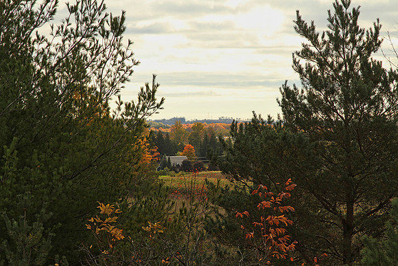 Purple Woods Conservation Area Oct 13/2020
