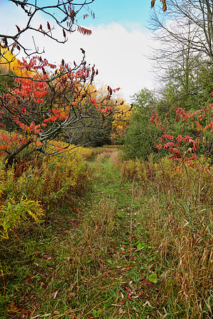 Pefferlaw Creek Farms Oct 20/2020