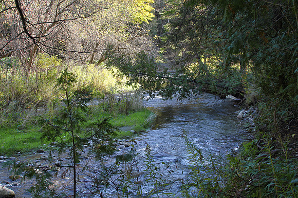 Seaton Hiking Trail Oct 28,2021