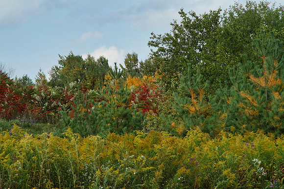 Stouffville Reservoir Sept 28/2020