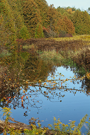 Rouge National Urban Park, Coyote Trail