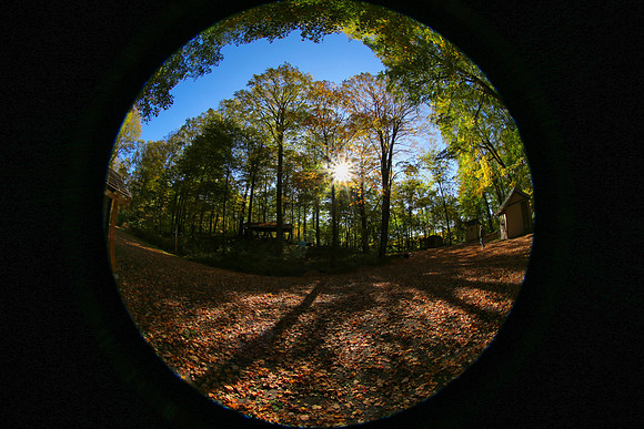 Purple Woods Conservation Area Oct 12/2021
