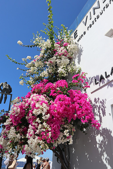 Santorini, Greece Sept 9/22