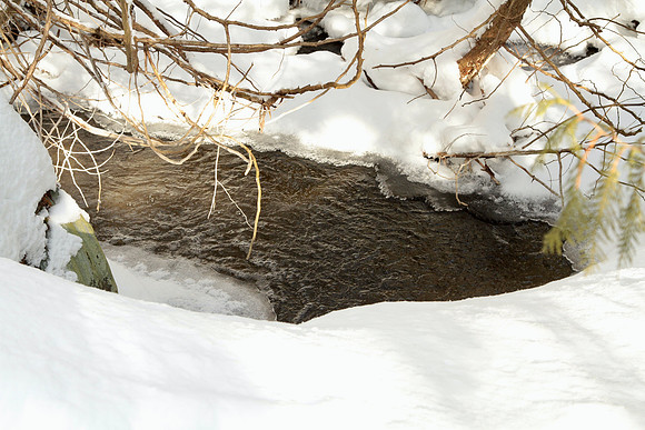 Uxbridge Countryside Trails Jan 25/22