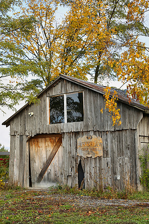 Pefferlaw Creek Farms Oct 20/2020