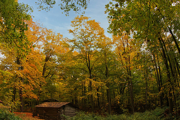 Purple Woods Conservation Area Oct 13/2020