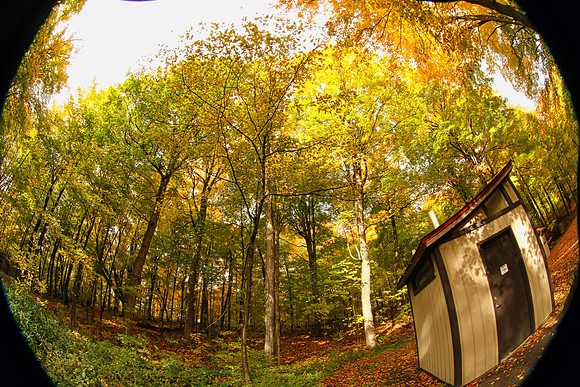 Purple Woods Conservation Area Oct 13/2020