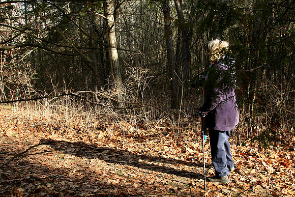 Walker Woods Nov 20/2020