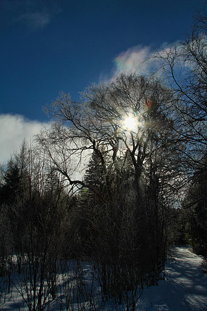 Secord Forest & Wildlife Jan 8/21