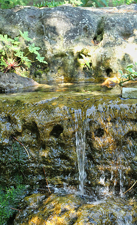 Oshawa Botanical Gardens Aug 2/2021