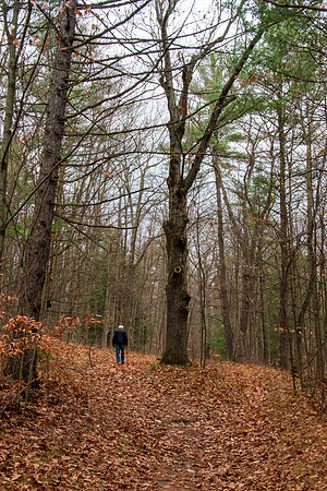 Sig on the trail