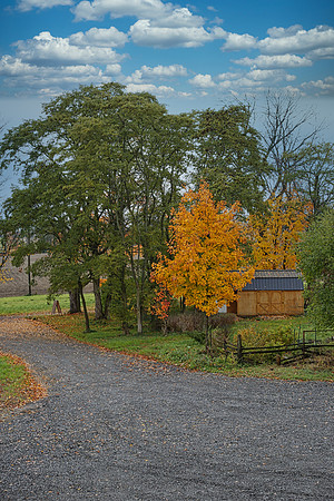 Pefferlaw Creek Farms Oct 20/2020